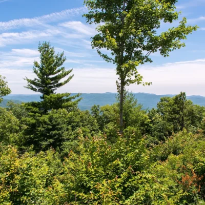 Gorges State Park