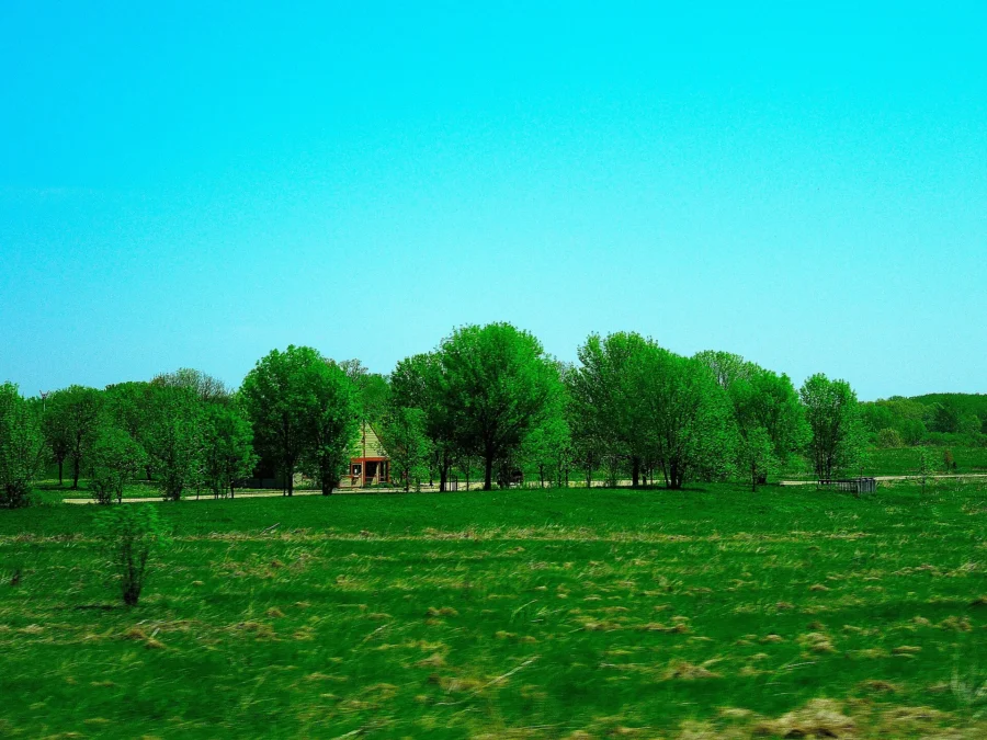 Governor Nelson State Park (Wisconsin)