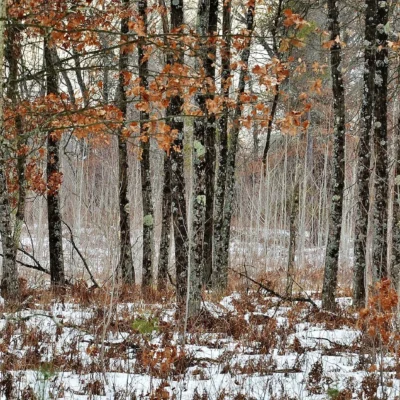 Governor Thompson State Park