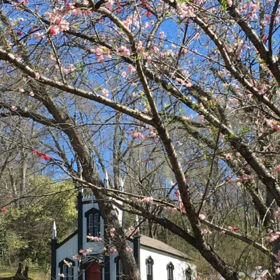 Grand Gulf Military Park