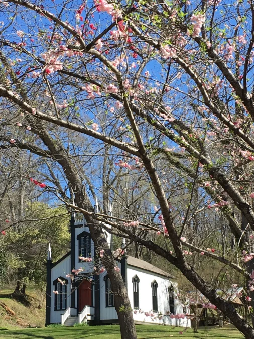 Grand Gulf Military Park (Mississippi)
