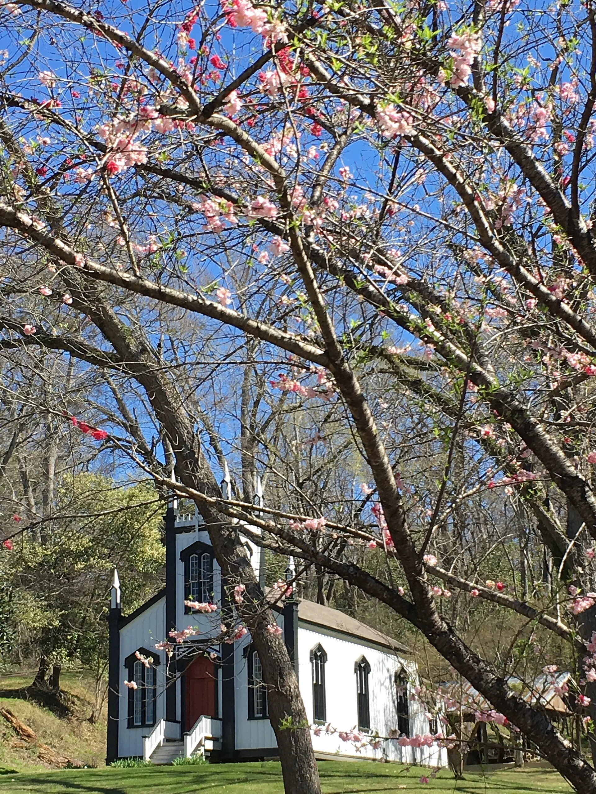 Grand Gulf Military Park