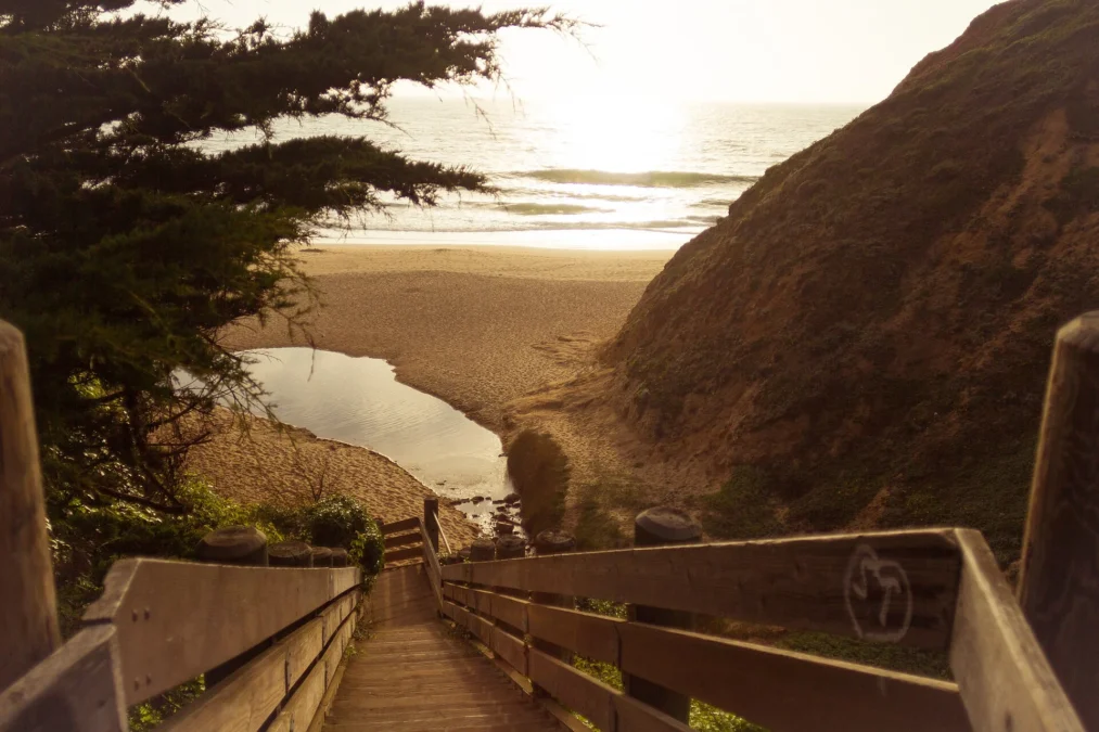 Gray Whale Cove State Beach (California)