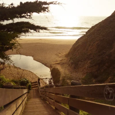 Gray Whale Cove State Beach