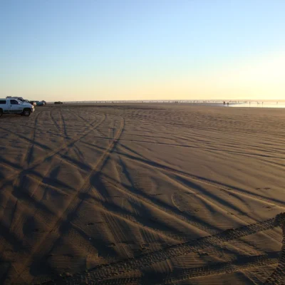 Grayland Beach State Park