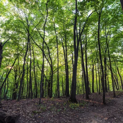 Great Bluffs State Park