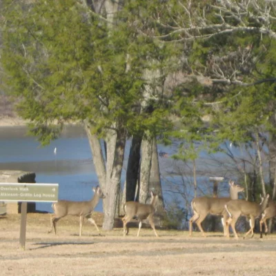 Green River Lake State Park