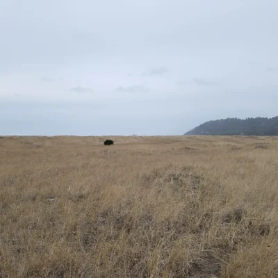 Griffiths-Priday Ocean State Park