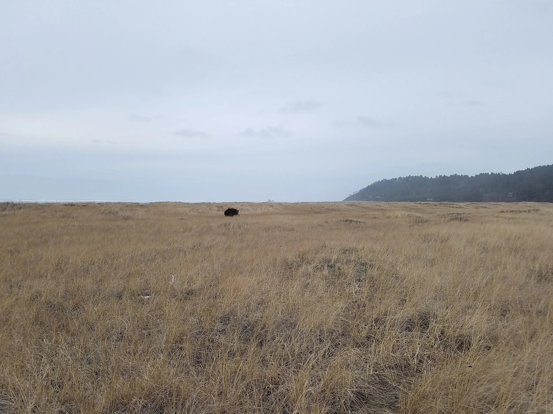 Griffiths-Priday Ocean State Park