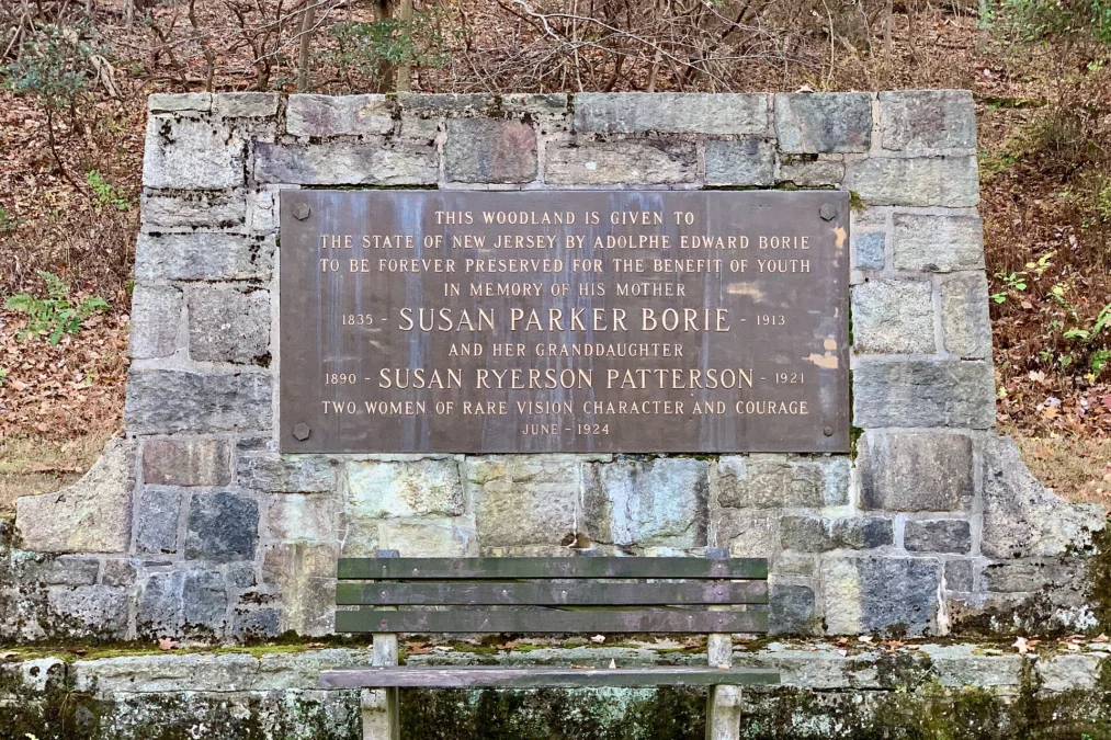 Hacklebarney State Park (New Jersey)