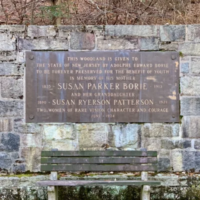 Hacklebarney State Park