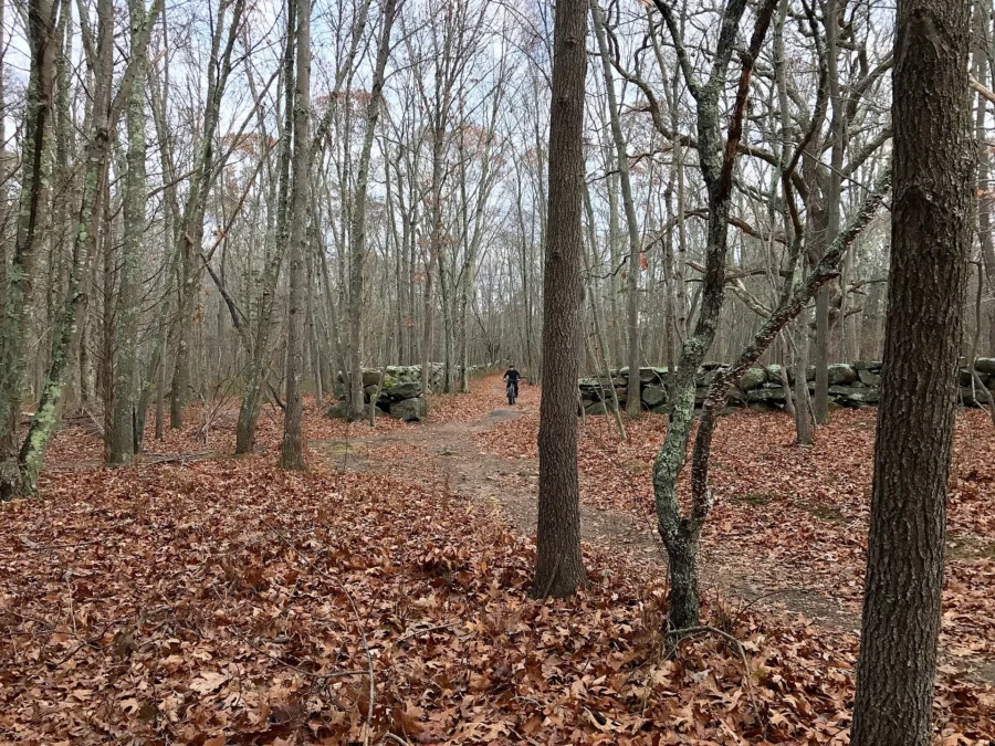 Haley Farm State Park (Connecticut)