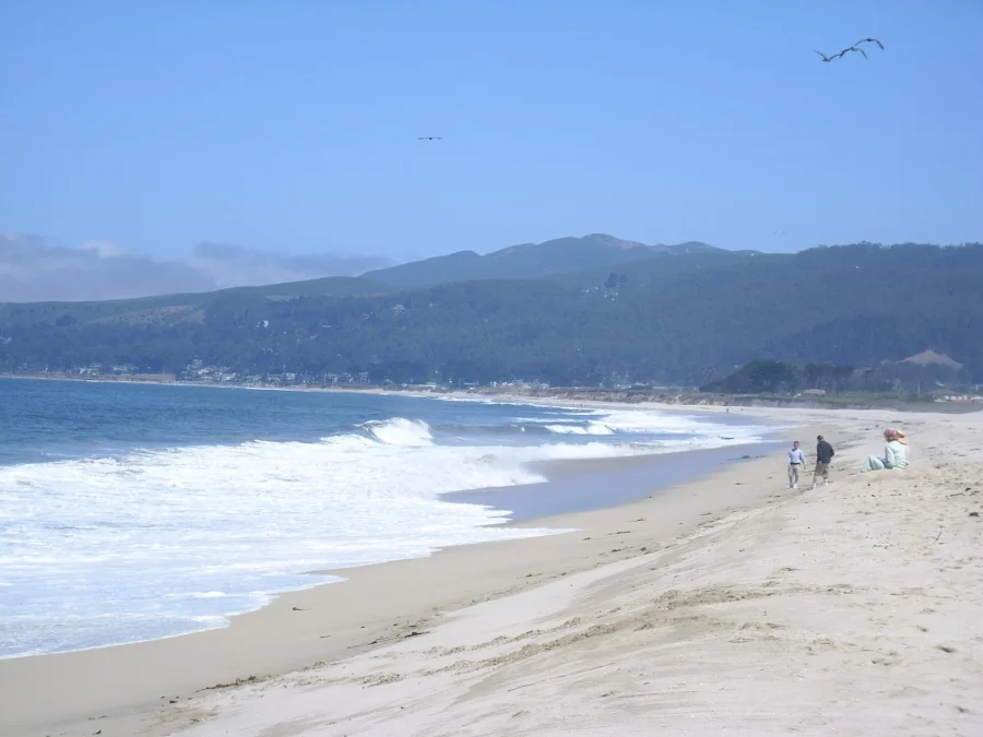 Half Moon Bay State Beach 87 Surf and sandy beach at Half Moon Bay State Beach, California