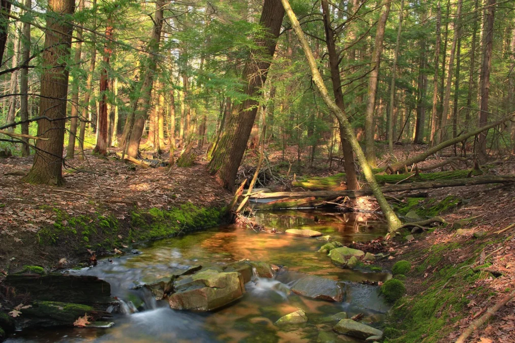 Halfway State Park (Pennsylvania)