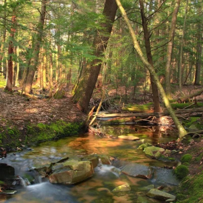 Halfway State Park