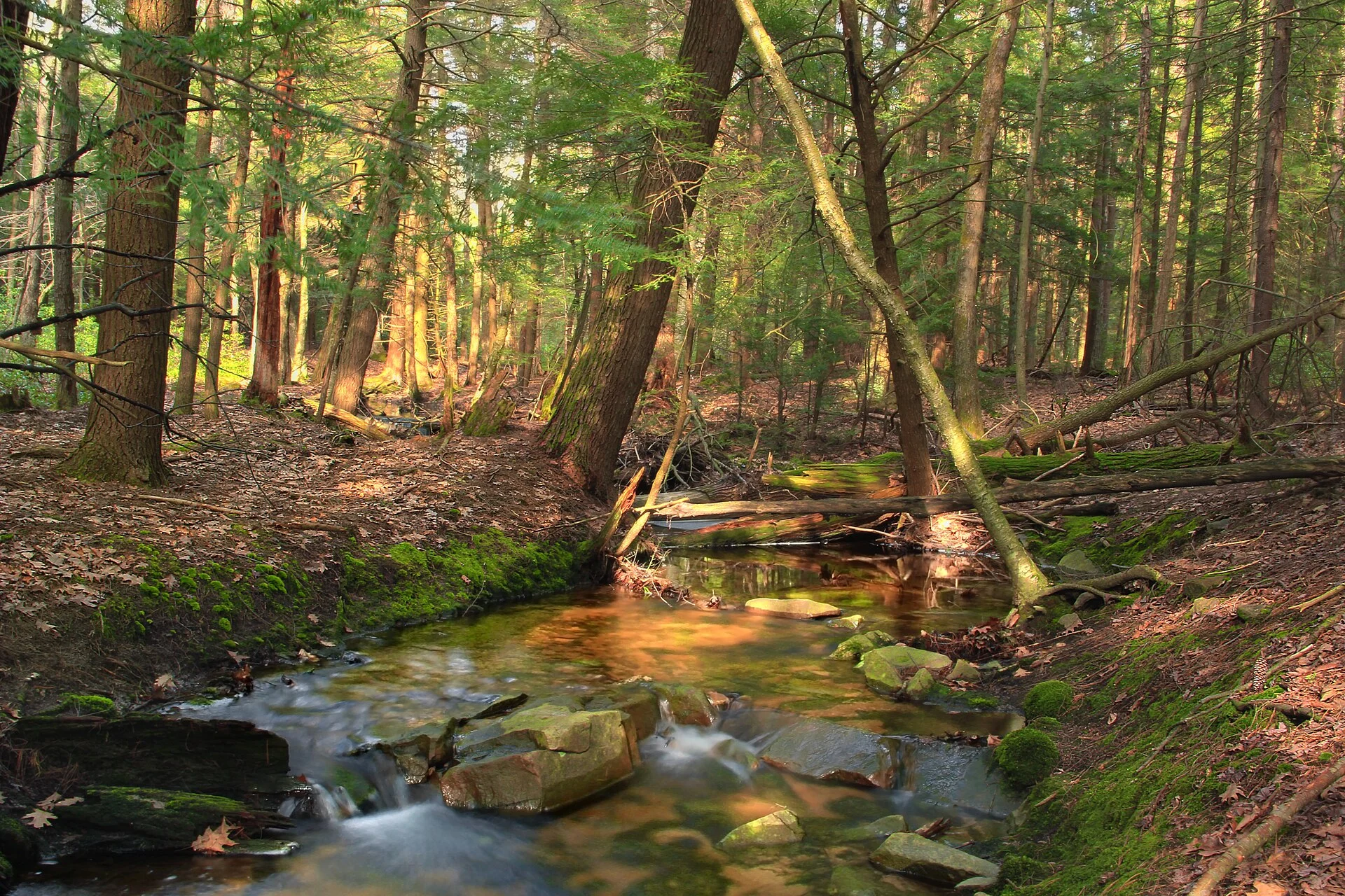 Halfway State Park