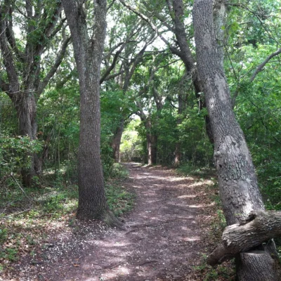 Hammocks Beach State Park