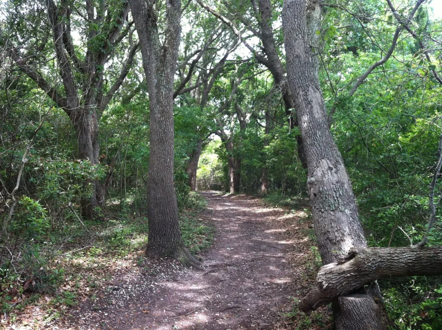 Hammocks Beach State Park 4 Hammocks Beach State Park (North Carolina)
