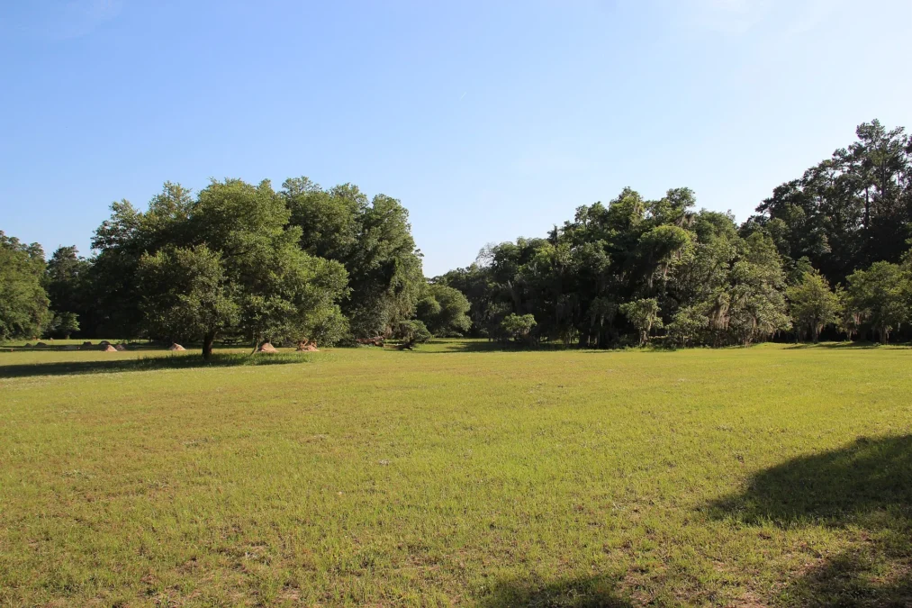 Hampton Plantation State Historic Site (South-Carolina)