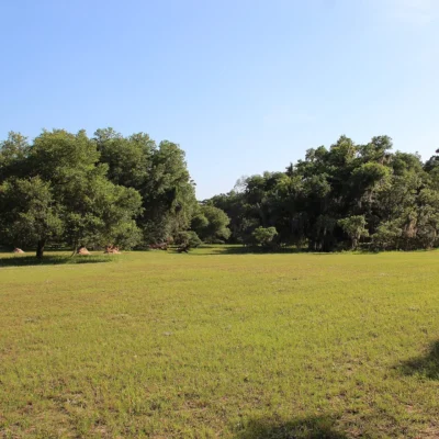 Hampton Plantation State Historic Site