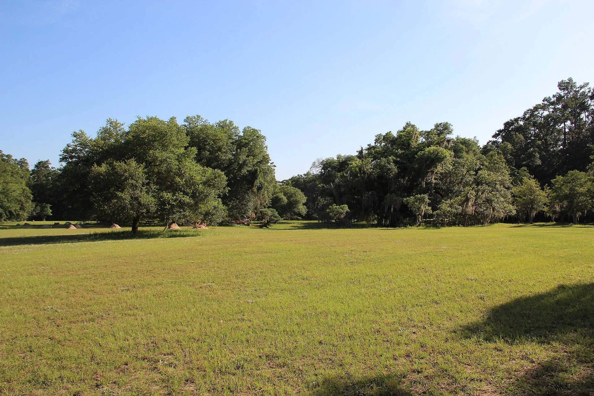 Hampton Plantation State Historic Site