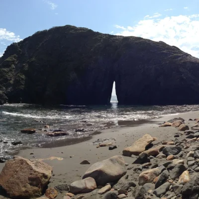 Harris Beach State Park
