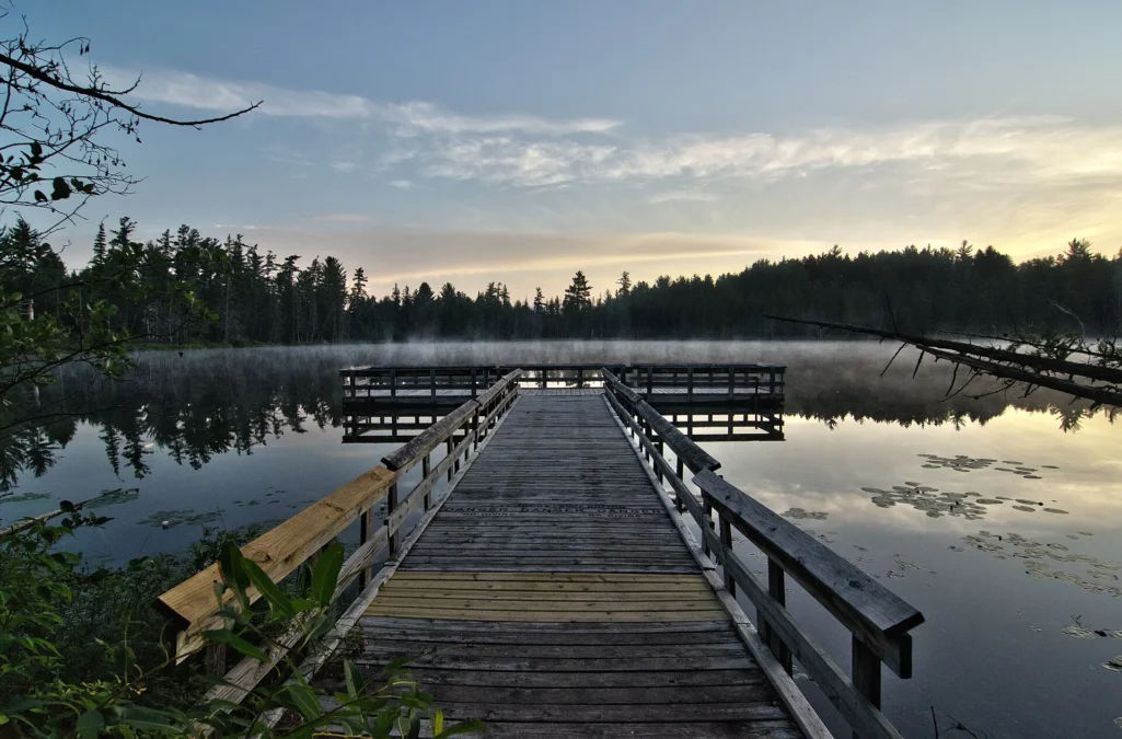Wooden fishing pier on a misty lake at sunrise in Hartwick Pines State Park, Michigan