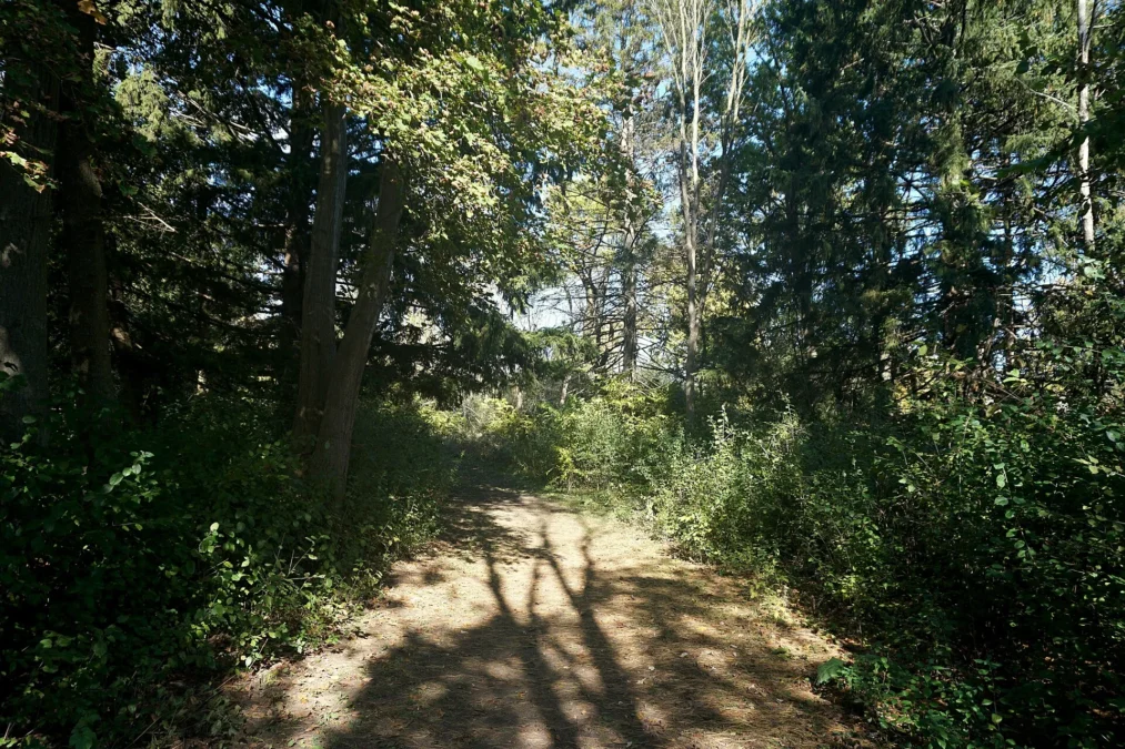 Havenwoods State Forest (Wisconsin)