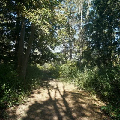 Havenwoods State Forest