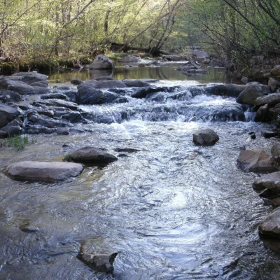 Hawn State Park