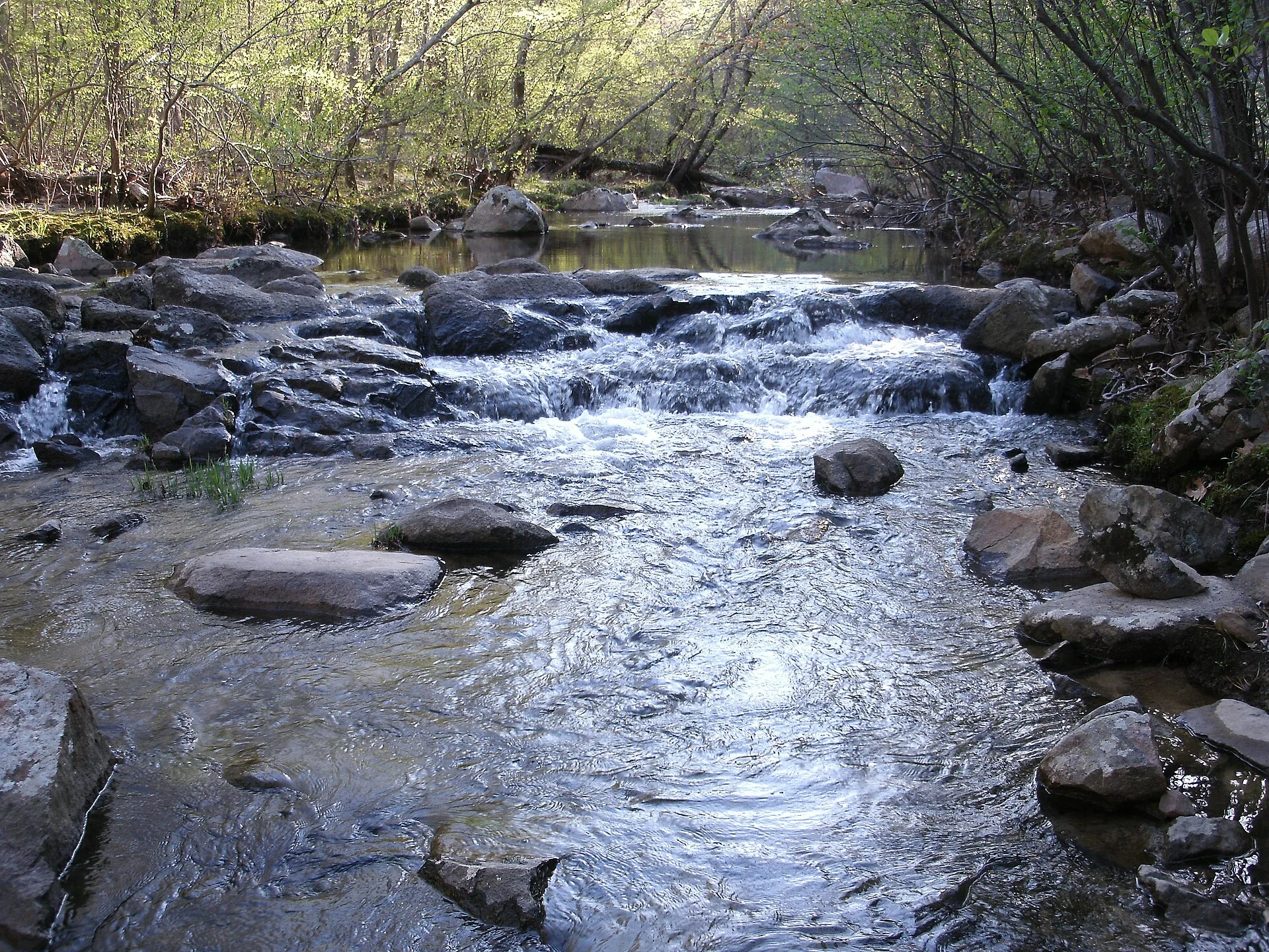 Hawn State Park