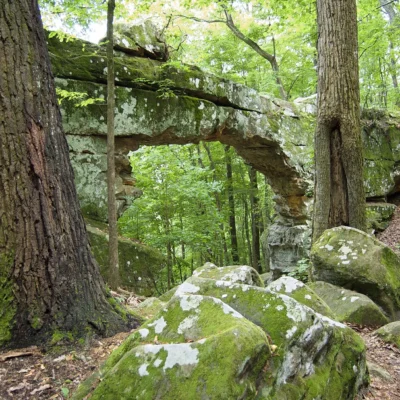 Head of the Crow State Park