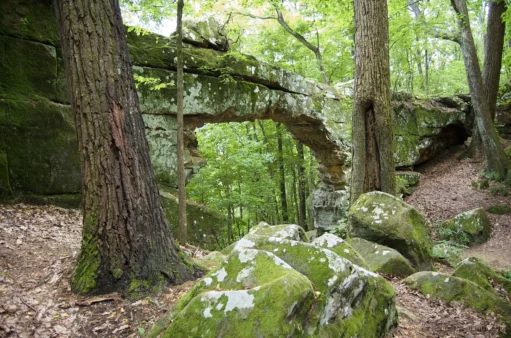 Head of the Crow State Park 30 Natural Bridge sandstone arch in the forest at Head of the Crow State Park, Tennessee