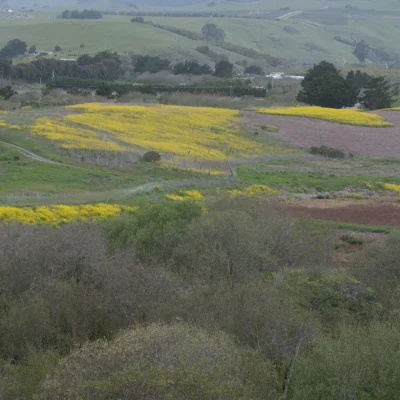 Hearst San Simeon State Park