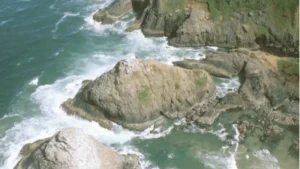 Heceta Head Lighthouse State Scenic Viewpoint