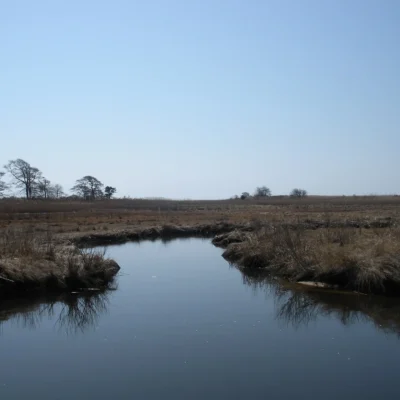 Heckscher State Park