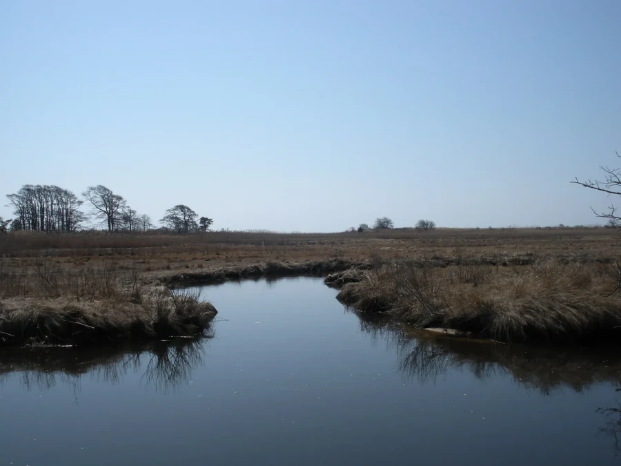 Heckscher State Park (New York)