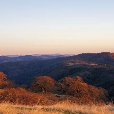 Henry Coe State Park