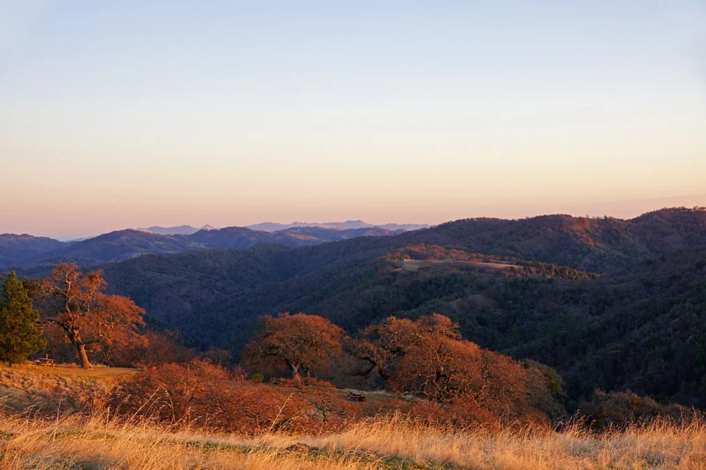 Henry W. Coe State Park 104 Henry W. Coe State Park (California)