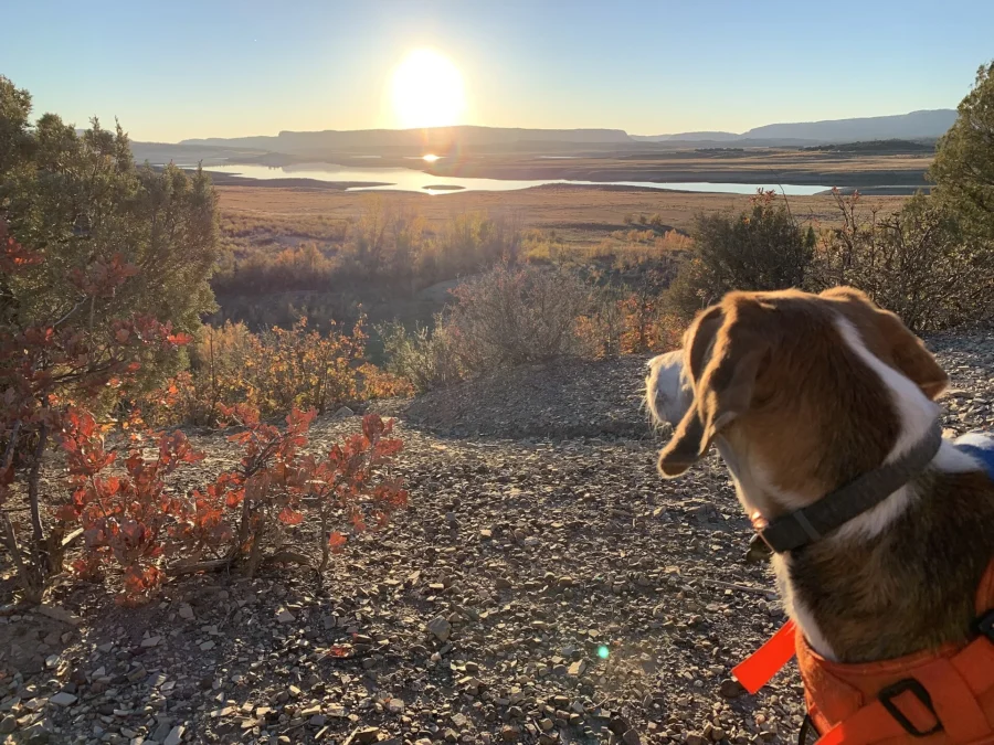 Heron Lake State Park (New Mexico)