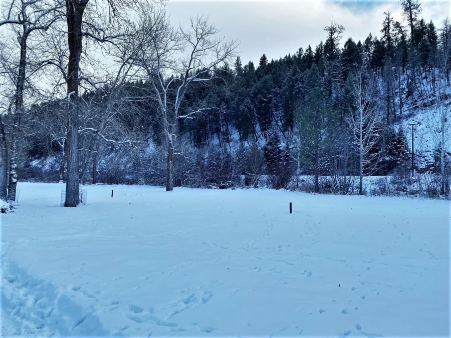 Hilgard Junction State Park (Oregon)