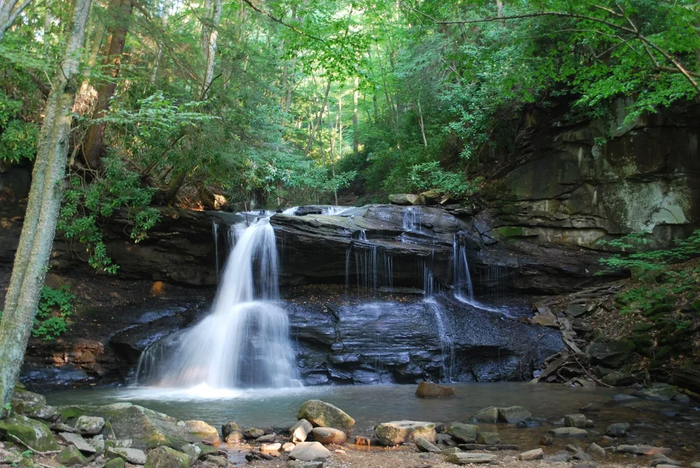 Holly River State Park 16 Waterfall spilling over a dark rock ledge into a forest pool, Holly River State Park, West Virginia