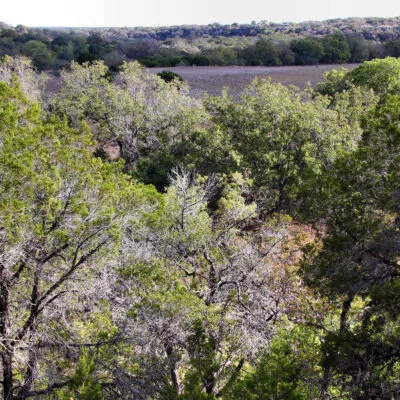 Honey Creek State Natural Area