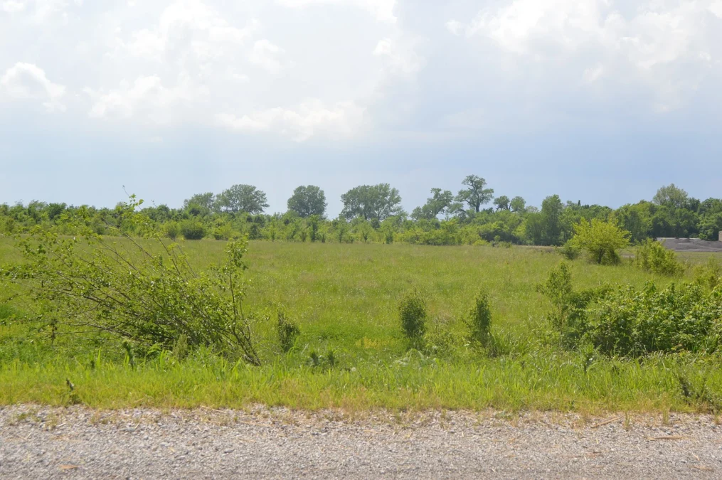 Horseshoe Lake State Park (Illinois)