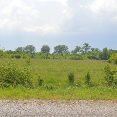 Horseshoe Lake State Park