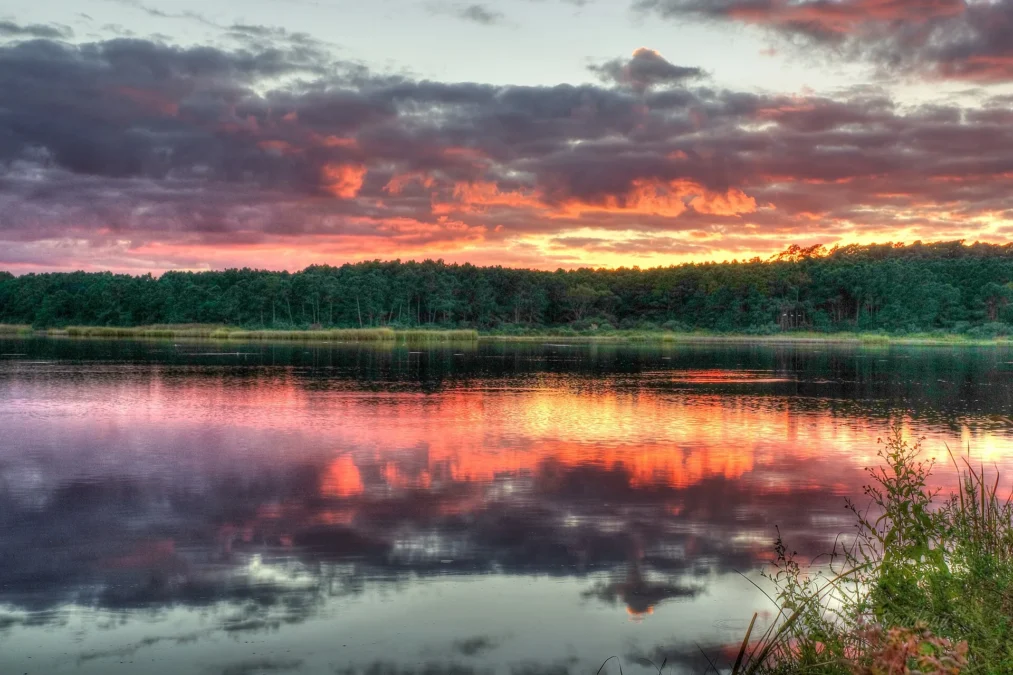 Freshwater lagoon reflecting a fiery sunset sky, Huntington Beach State Park, South Carolina