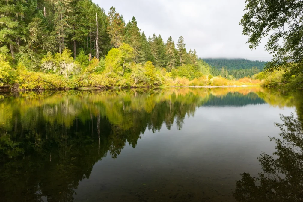 Illinois River Forks State Park (Oregon)