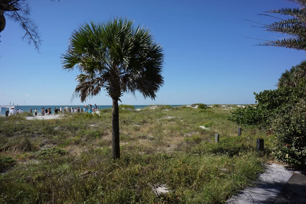 Indian Shores State Park (Florida)