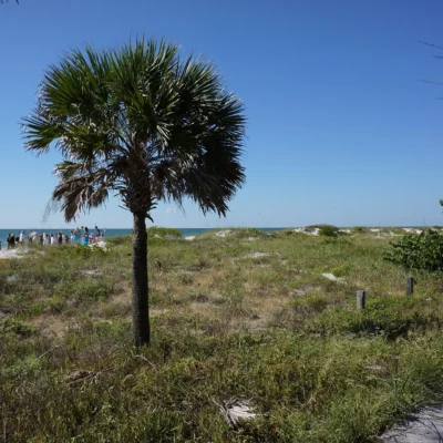 Indian Shores State Park