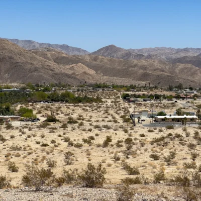 Indio Hills Palms